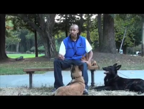 Dog Trainer & Training in San Francisco, CA (415) 539-7237