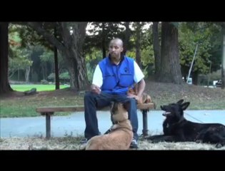 Dog Trainer & Training in San Francisco, CA (415) 539-7237