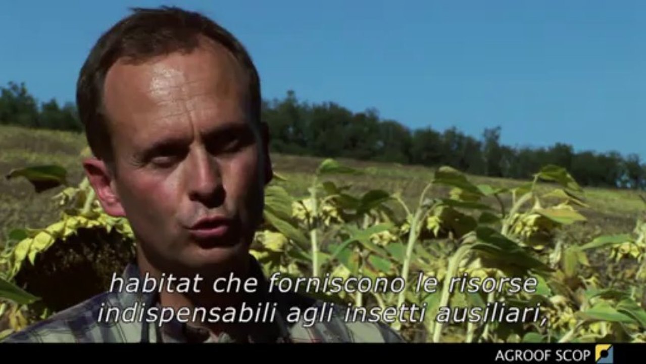 AGROFORESTAZIONE - Prospettive per l'agricoltura di domani - PARTE 2