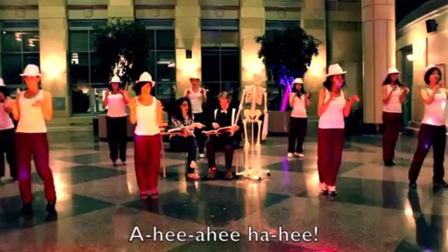 Harvard Med Students Explain ‘What Does The Spleen Do’ With ‘What The Fox Say’ Parody
