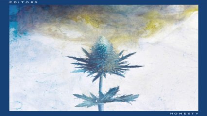 [ DOWNLOAD MP3 ] Editors - Honesty [ iTunesRip ]