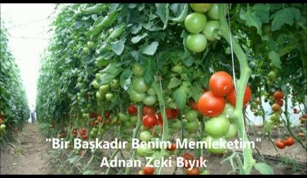 Bir Başkadır Benim Memleketim- Adnan Zeki Bıyık (Sıradışı Müftü)