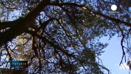 Gözle görülmeyen zehirli maddeler mercek altında