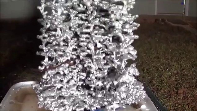 Amazing Ant Colony - Sculpted with Molten Aluminum