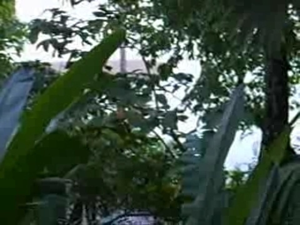 Costa Rica Bahia Drake Pirate Cove