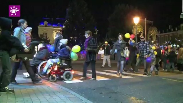 Téléthon 2013 : Marche solidaire à Tarbes (65)