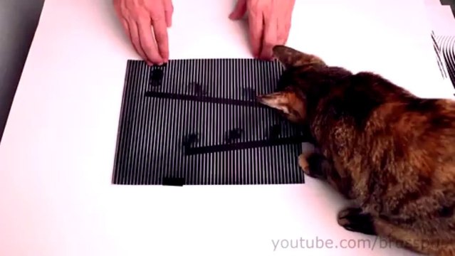 Illusions d'optique animées - Impressionnant!