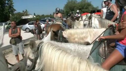 balade a cheval