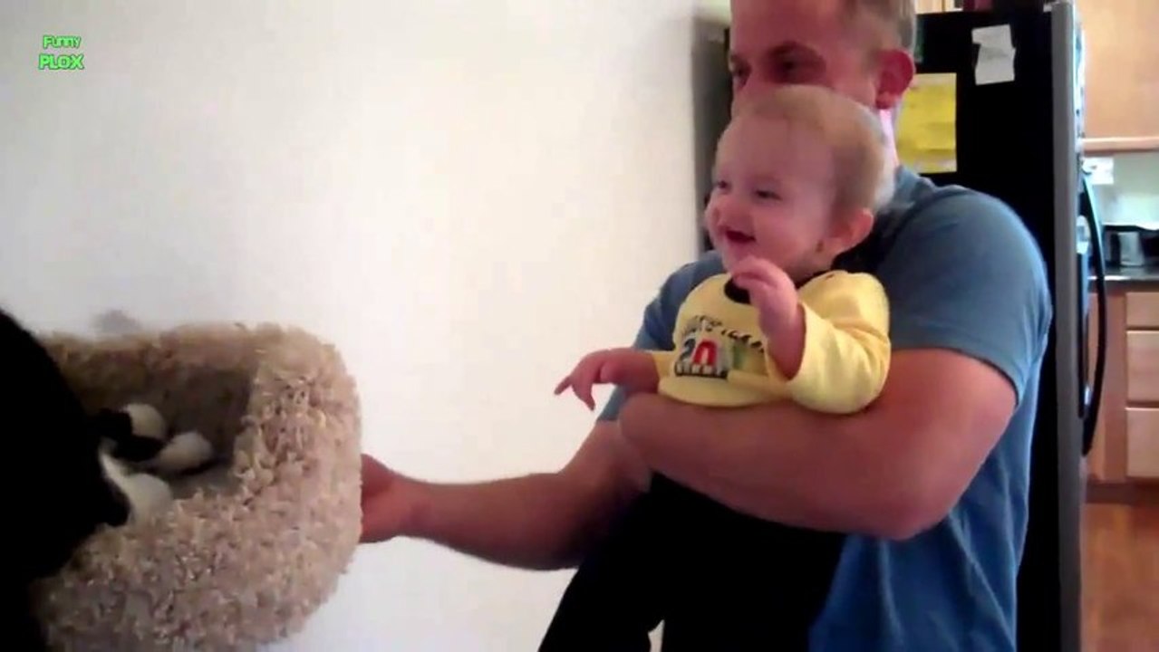 Des Bébés pliés de rire en regardant le Chat - Compilation énorme! 2013