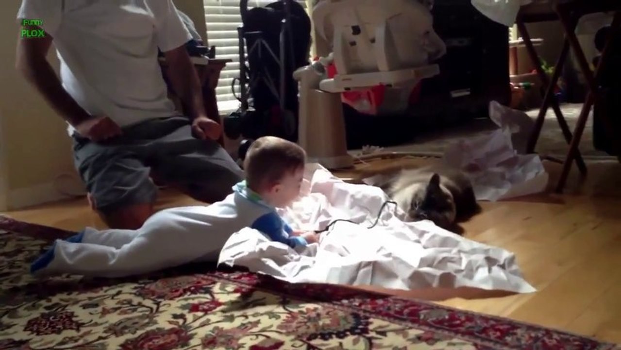 Adorable Babies Laughing at Cats - Funny Compilation 2013