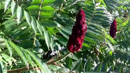 ONTARIO SHORES CANADA