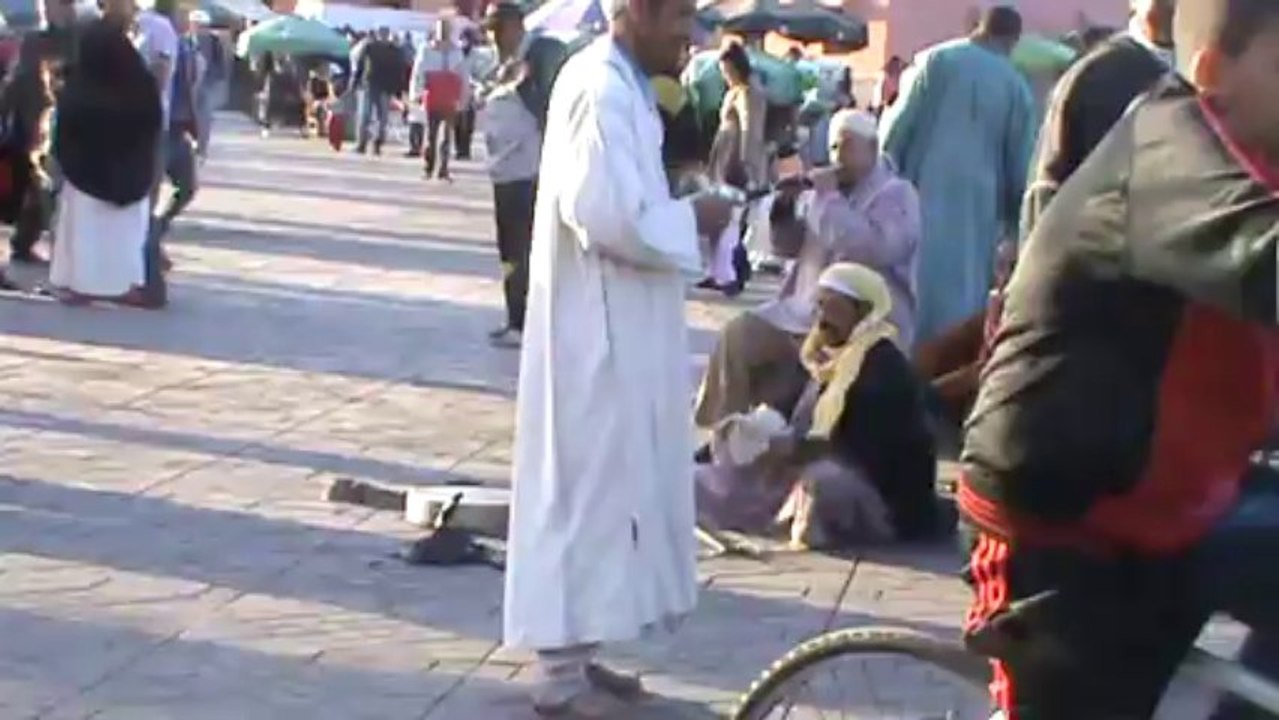 Marokko Marrakesch das Wunder von Marrakesh der Platz der Gaukler (12)
