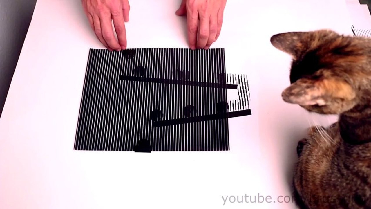 Amazing Animated Optical Illusions