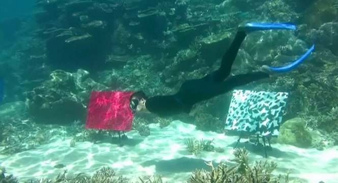 Australie : une galerie d'art sous-marine installée sur la Grande Barrière de corail