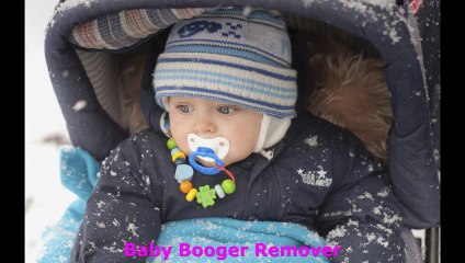 Sinus Infection Remedies