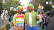 India reinstates law banning gay sex