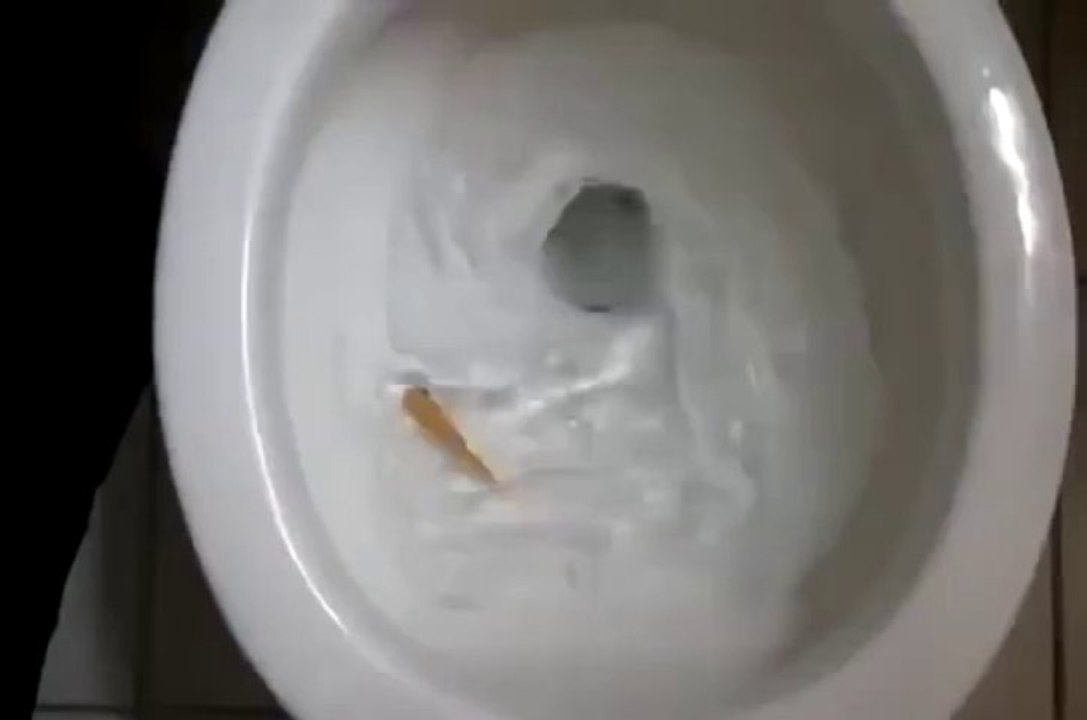 Fish In Flushh