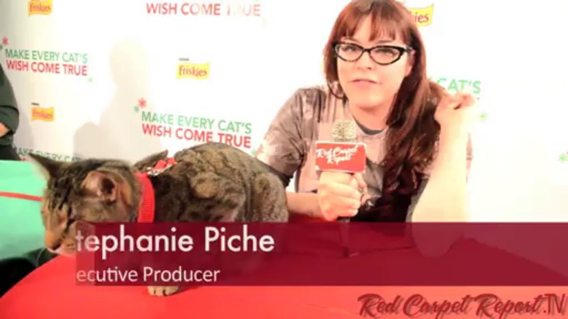 Press Conference For Celebrity Cats Premiere Event At Capital Records Grumpycat Video Dailymotion