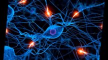 Healing from antidepressants  The power of neuroplasticity