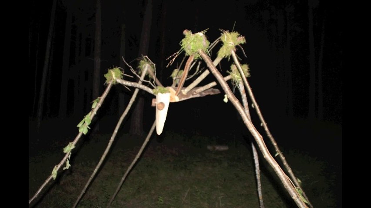 land 'art 2013 dans les marais