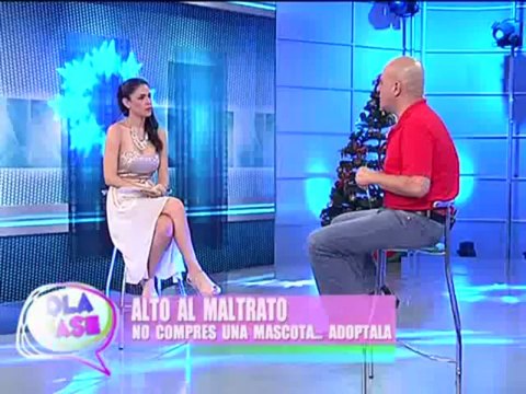 Alto al maltrato de los animales: no compres una mascota, adóptala