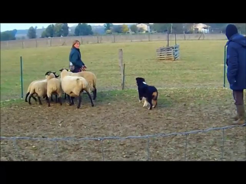 Ikon, presque 5 mois, découverte des Mout' Mout'  !!