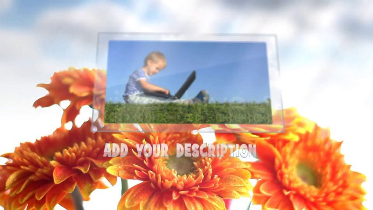 Sunny Flowers - After Effects Template