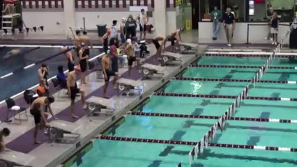 100 free senior champs