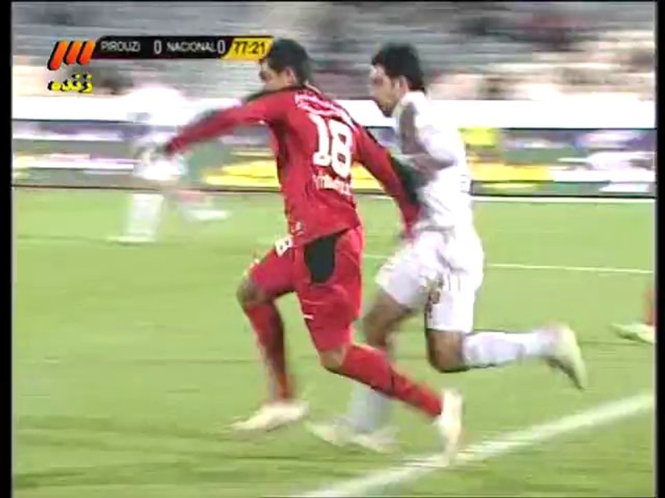 reza hamzehpour