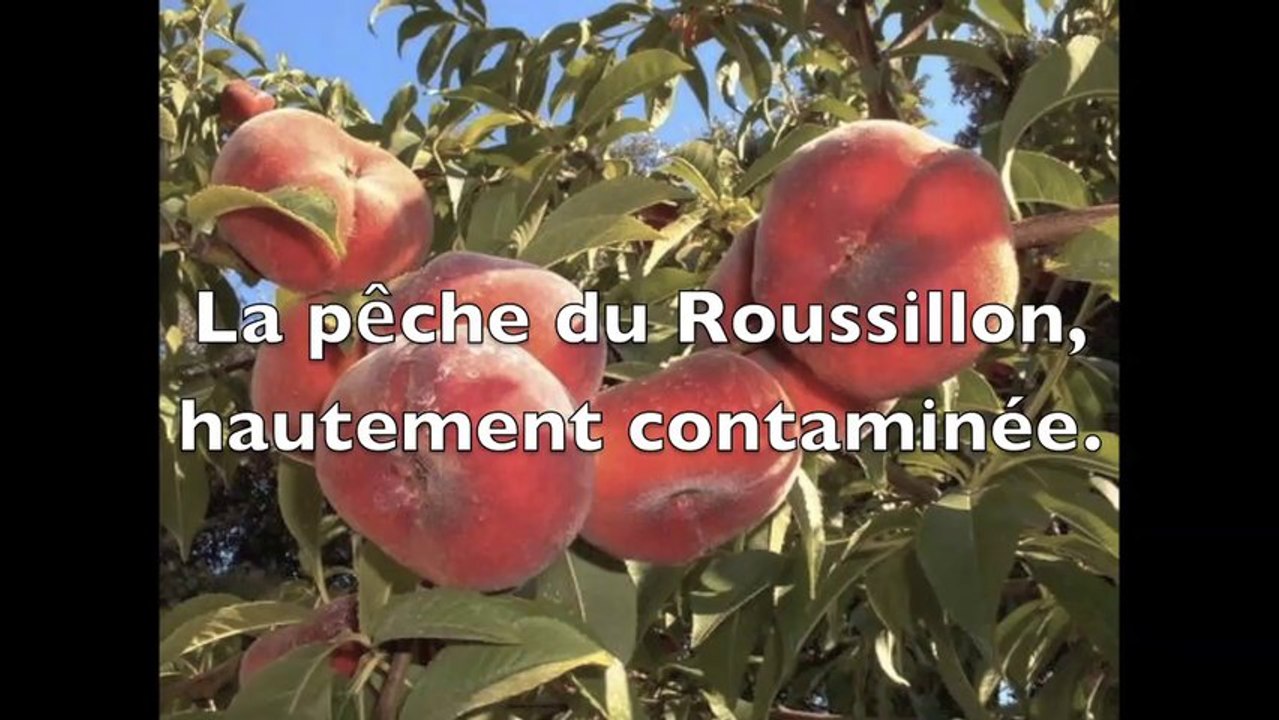 PESTICIDES2013