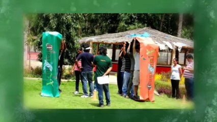 Mindtree Day Out at Golden Palms with Thrillophilia