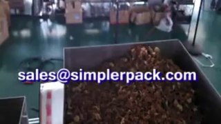 【ZH-SJB pyramid triangle nylon tea bags packaging machine】-ZHYPACK