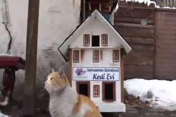 Kedilere özel Safranbolu evi