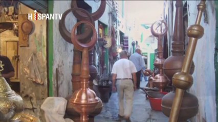 Mi viaje al Islam - Allison Stevens