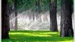 irrigation framingham | irrigation sudbury |irrigation Marlborough