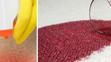 Gulf Coast Carpet Cleaning - (713) 373-2273