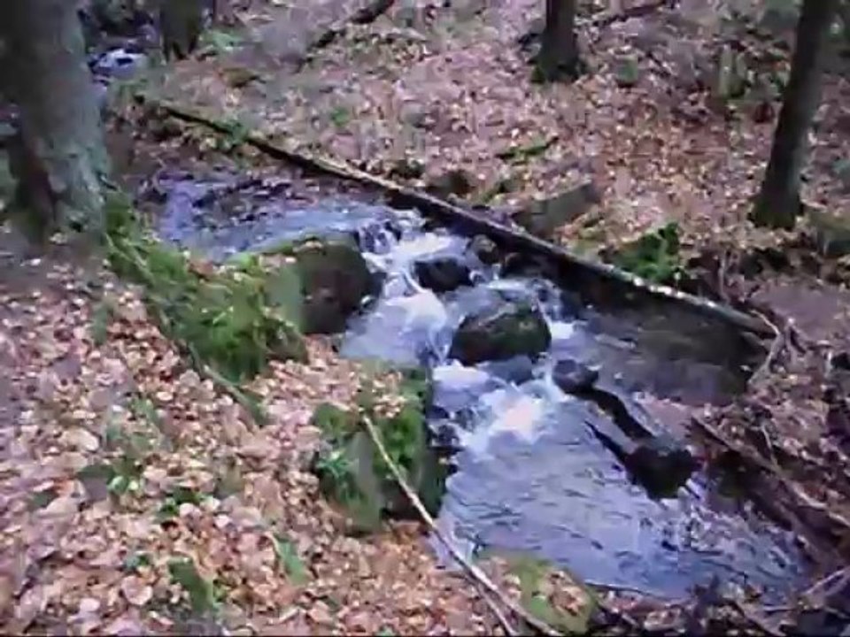 Impressionen Morgenbachtal