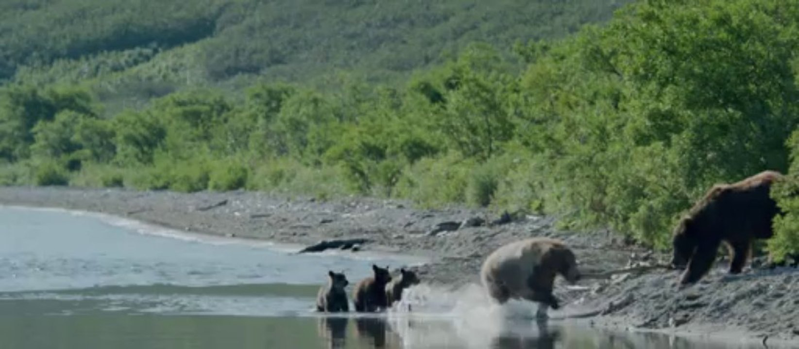 TERRE DES OURS - Bande-annonce VF