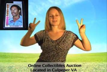 Estate Auction in Culpeper VA