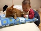 Kedinin kuyruğunu yemeye çalışan bebek _)