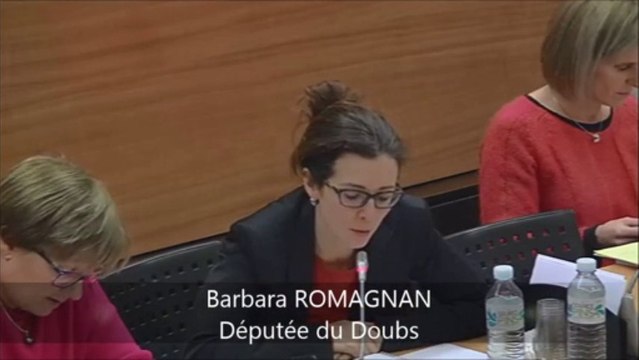 Audition de Michel Sapin - Délégation aux droits des femmes - 11 décembre 2013