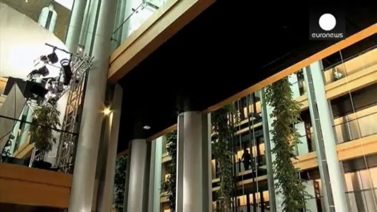 European Parliament calls for EU intervention in Ukraine crisis