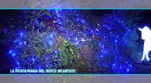 LA FATATA MAGIA DEL BOSCO INCANTATO