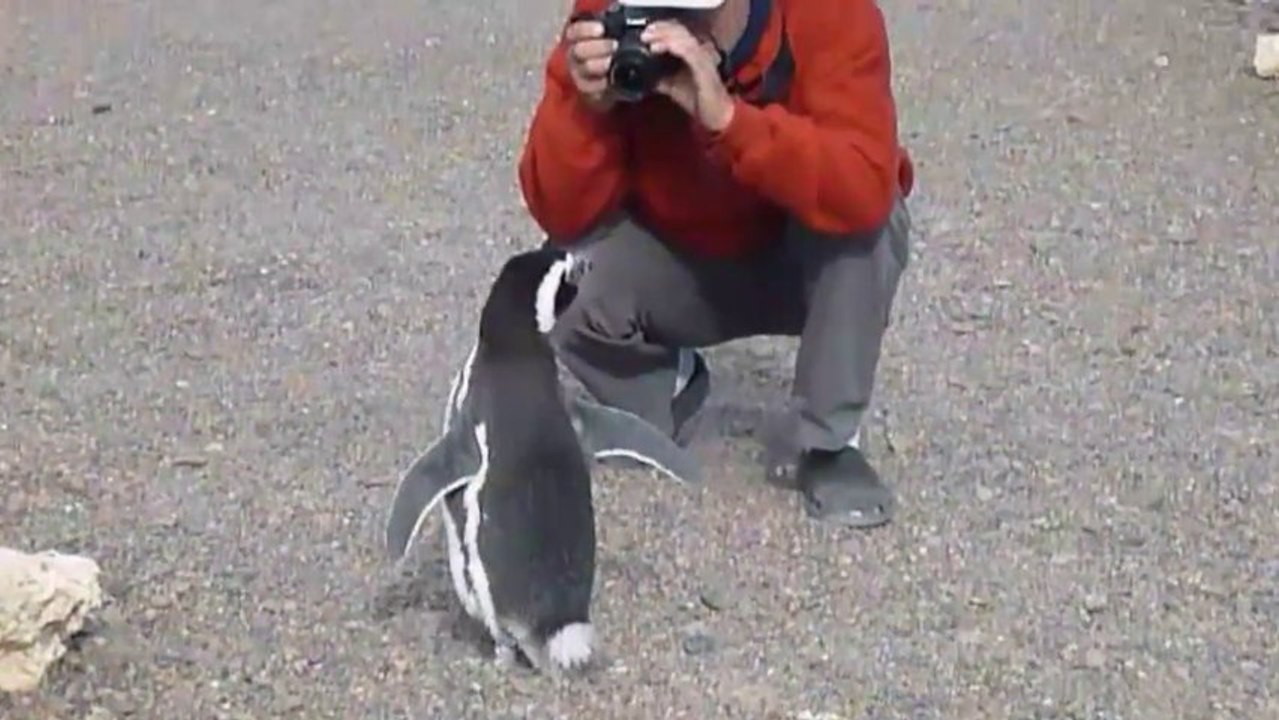 Andiamo Amérique du sud EP11  " Là où je t'emmènerai "