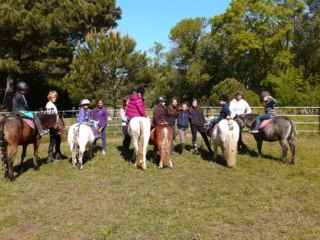 Poneys de Sophie Saint Aygulf