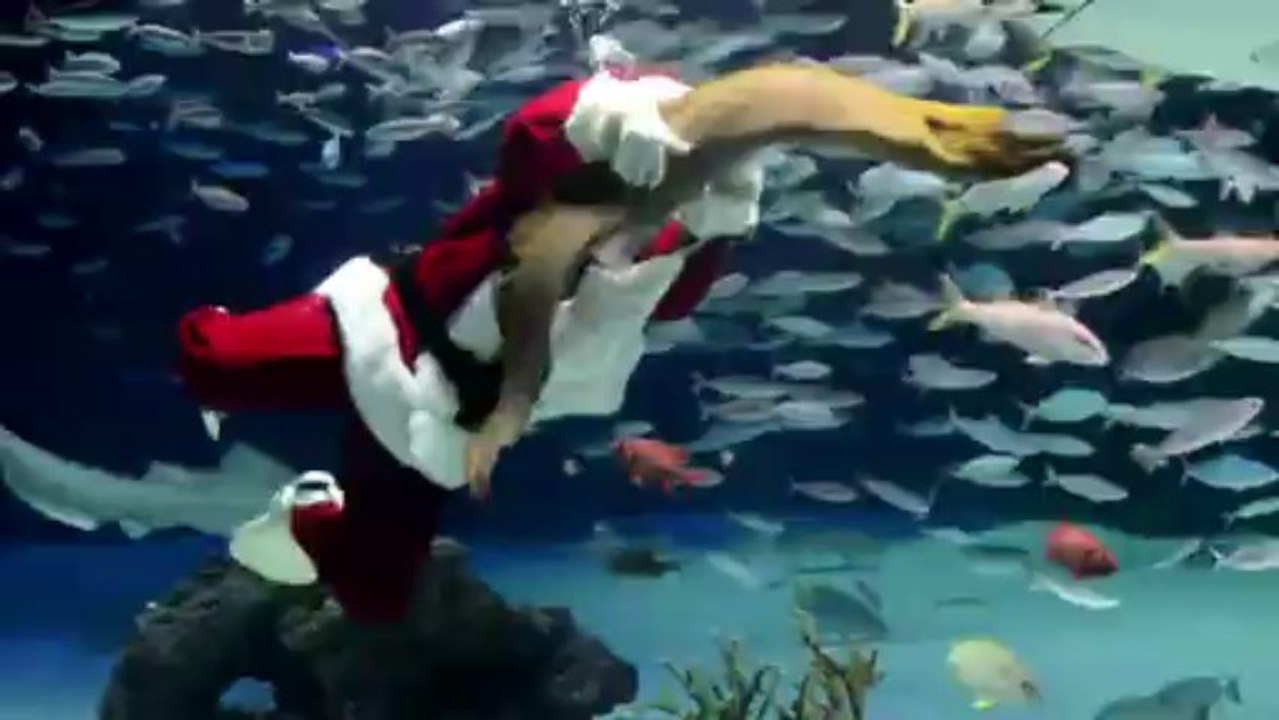 Santa Claus swims with fish in Tokyo