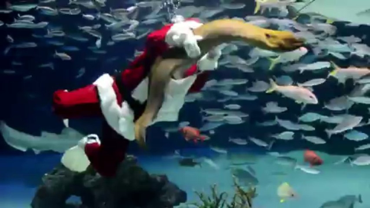 Le Père Noël nage au milieu des poissons à Tokyo
