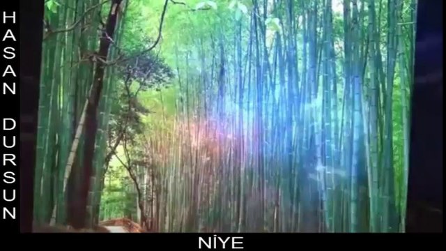 HASAN DURSUN - ANNECİGİM-NİYE-GİDEMEDİM-AŞK BEZİRGANI-4-İLAHİ