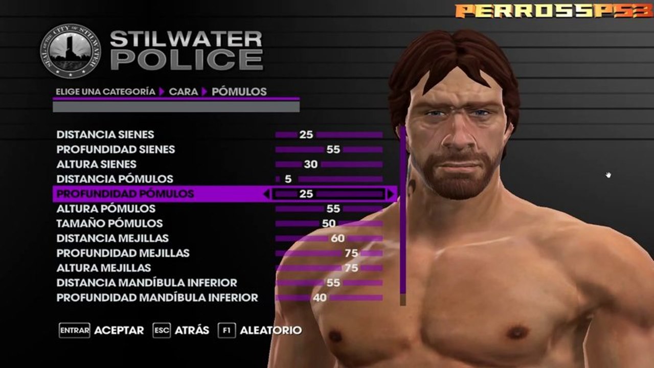 Saints Row The Third (Chuck norris)