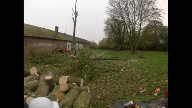Abattage arbre sailly au bois